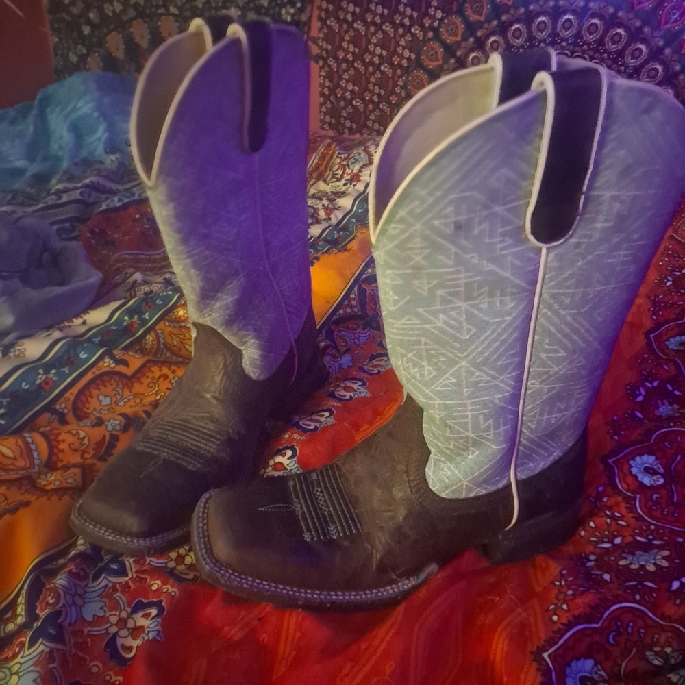 Ariat Brown and Blue Western Boots